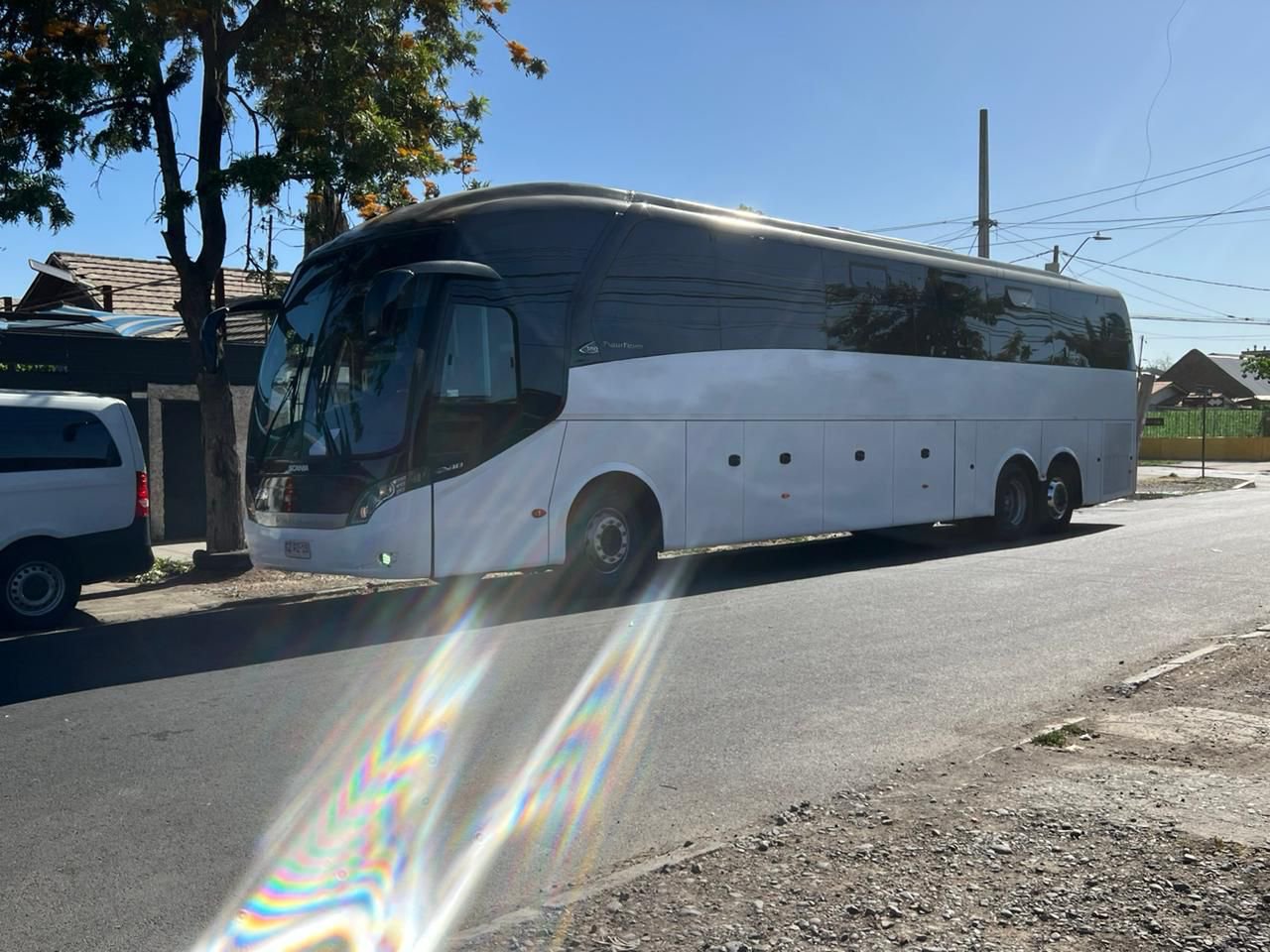 Bus Ejecutivo